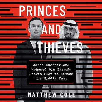 Princes and Thieves by Matthew Cole cover